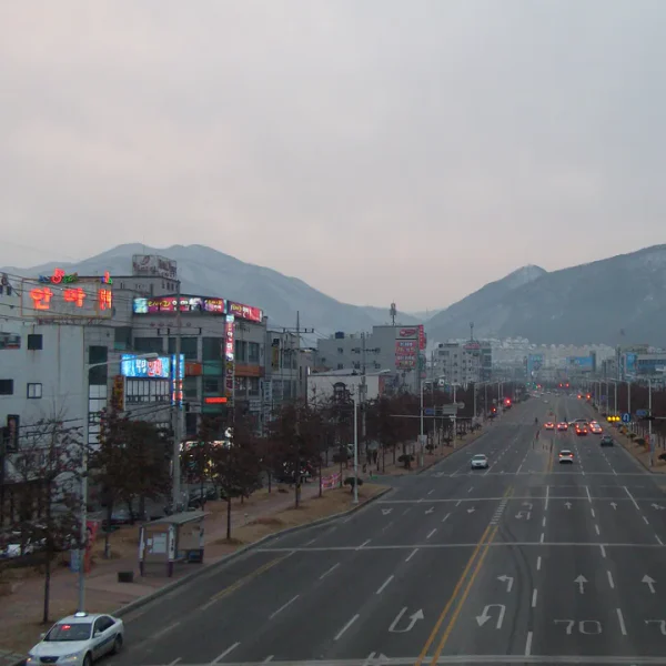 라운지 모먼트포레스트 테라피 안내 이미지