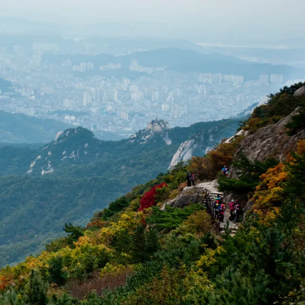 로열 라비앙아지트 테라피 안내 이미지