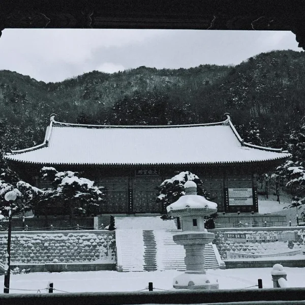 시그니처 하린스튜디오 테라피 안내 이미지